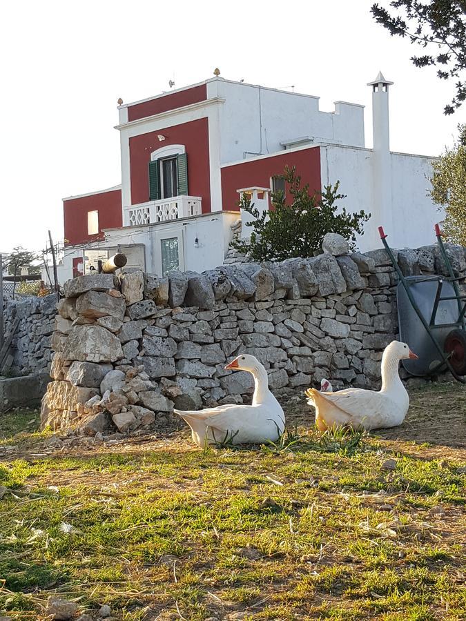 Masseria Trulli Sull'Aia Cisternino Luaran gambar