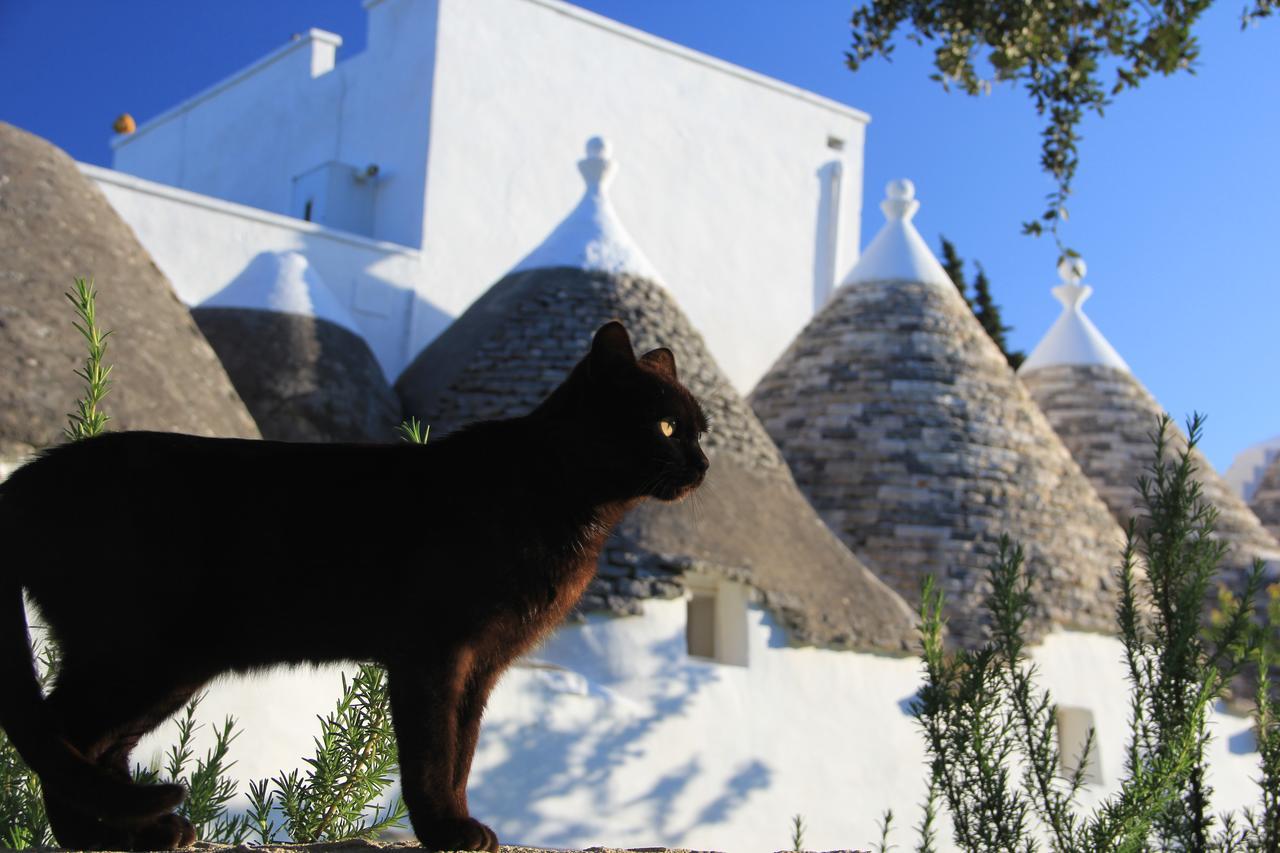 Masseria Trulli Sull'Aia Cisternino Luaran gambar
